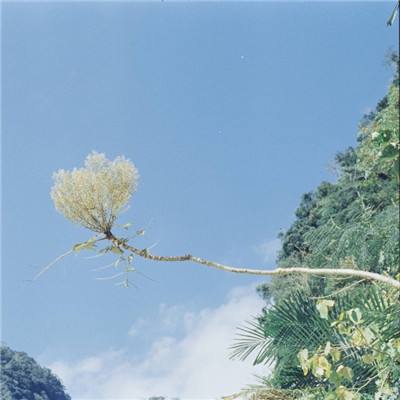 皇冠足彩官网下载最新版